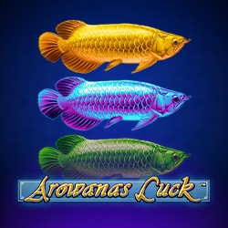 Arowanas Luck