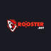 Rooster.bet Casino Review